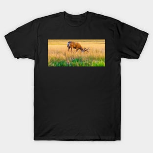 Whitetail Buck T-Shirt